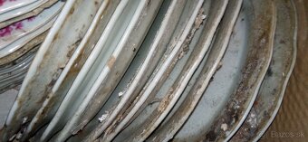 Predám biele taniere vhodné do reštaurácií ok.24cm - 10