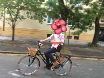 Mestský retro bicykel - 10