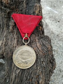 Vyzn, RU-FJI za statočnosť I.trieda Zlatý-starší typ. - 10