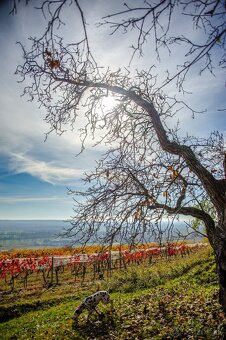 Nikon Nikkor 28-200mm 1: 3.5-5.6G IF - 10