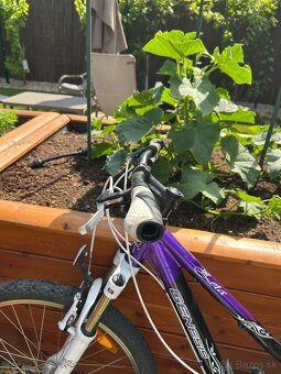Dámsky-dievčenský bicykel genesis - 10