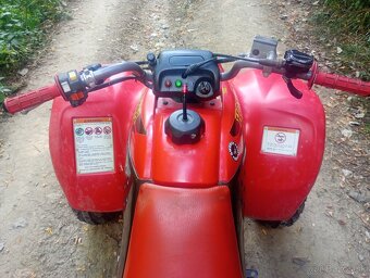Honda TRX 250ex - 10