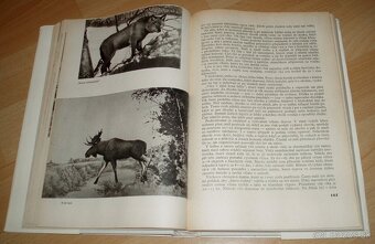 Revír bez hranic - 10