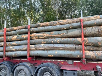 Palivove drevo buk - 10