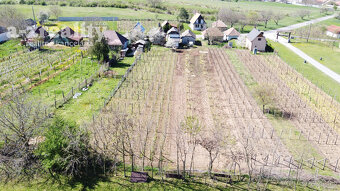 Výhodná ponuka Vinica a viničný dom na predaj - 10