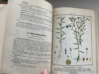 Slovenský herbár I a II.zväzok - 10