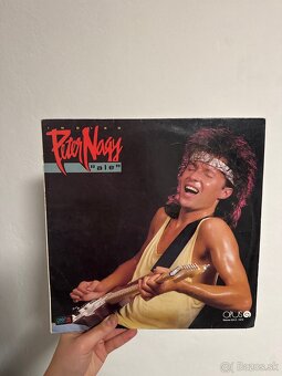 Gramofónové platne Slovenské - 10