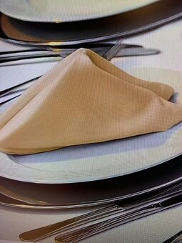 Prestieranie luxusne na oslavu - 10