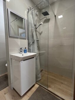 TRIOREALITY - 2-izbový byt na prenájom - CA centrum - 10