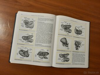 Princípy chirurgie I – III + Detská chirurgia (KOMPLET) - 10