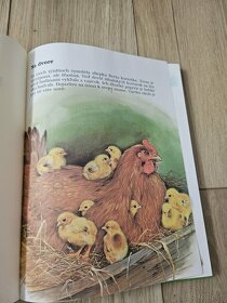 Moja najkrajsia kniha o zvieratkach - 10
