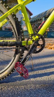 Kellys whip 10 2018 - 10