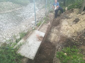 Tuja Smaragd, vavrínovec, červienka, gaštan - Žilina - 10