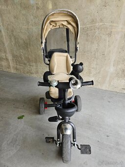 Trojkolka Eco toys - 10