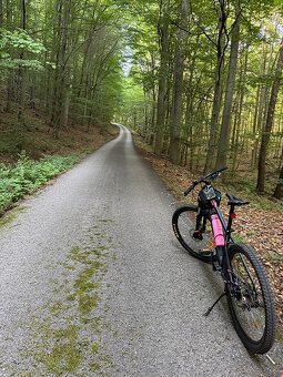 znížená cena RockRider ST120 - veľ.L - 10