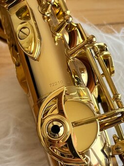 Saxofon Stewart Ellis Elite - 10