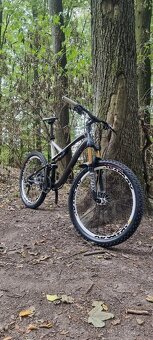 Specialized Stumpjumper FSR Expert - 10