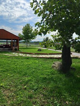 JEDINEČNÁ JAZDECKÁ FARMA V ÚPLNOM SÚKROMÍ - 10