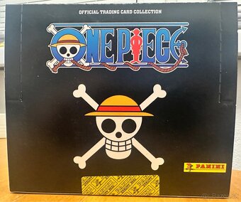 Pokémon + One Piece - 10