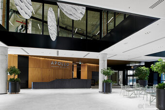 Prenájom obchodného priestoru 333 m² v skvelej lokalite v ce - 10