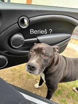 Mini Cooper S R56, 1.6 135kw 2011 - 10