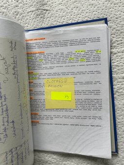 Kompletne vypracované skriptá z angličtiny, statnice - 10