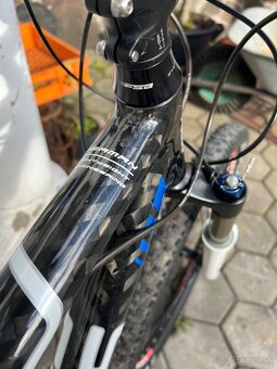 FOCUS Raven Expert CARBON - 10
