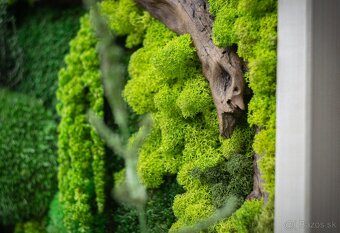 🌿 Machové obrazy na mieru – príroda vo vašom interiéri - 10
