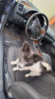 Mercedes  CLK Coupe - 10