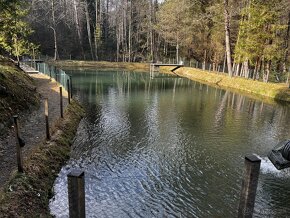 Predaj čerstvých BIO lososovitých rýb pstruhy ryby - 10