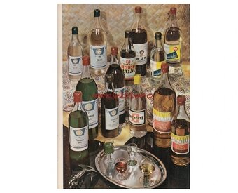 Katalóg liehovín z roku 1954 - 10