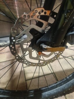 Ctm Zephyr 2019 - 10