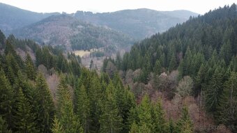 Chata Podjavorník - Papradno, na predaj - 10