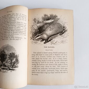 Starožitná knižka – Zoológia – Murray – 1844 - 10