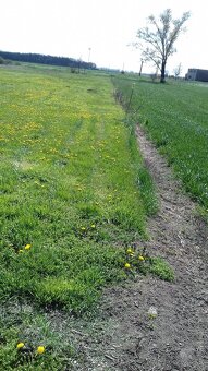 stavebny pozemok , zahrada - 10