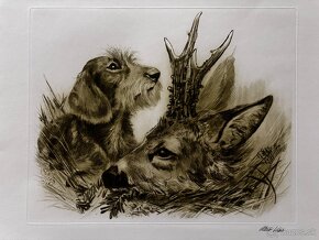 Ales Vaic - lesnicka tematiky - 10