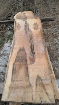 Brestové fosne sušené 6 rokov - 10