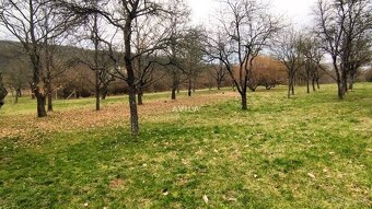 REZERVOVANÉ: rekreačný pozemok 6116m2 s chalupou-Prašník - 10