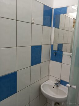 Prenájom 1 izbový byt - 10