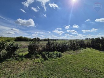 100-ročný dom na polosamote, pozemok 3252 m², Čab – Lahne - 10