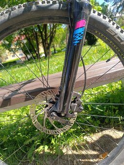 Marin Bobcat Trail 3 - 10