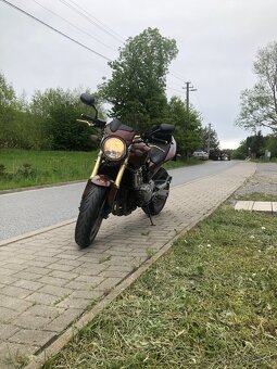 Honda Hornet 600 - 10