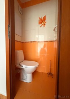 Prenájom 3 izbového bytu Medvedzie - 10