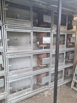 Hlinikové voliéry,klietky pre papagáje - 10