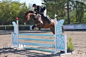 Kobylka na rekreaci / rodinný mazel / sport - 10