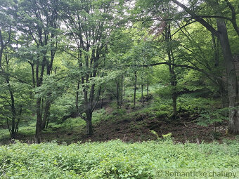 NOVÁ CENA  Rozsiahle lesné pozemky v Podpoľaní - 10
