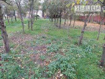 Rodinný dom, 130 m2, garáž, Kuraľany, okr. Levice - 10