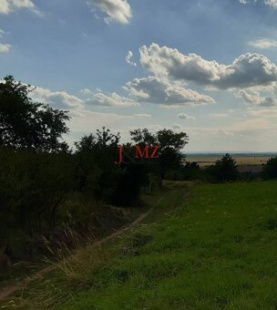 Pozemok 5.200 m2 , šírka 35 m, Horné Jabloňovce (SM - 829) - 10