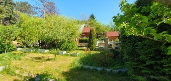 Na predaj záhrada s chatkou Ťahanovce, pozemok 590 m2 - 10