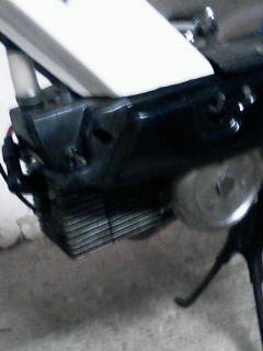 BABETTA 207 -300 - 10